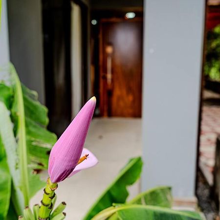Cloud Forest House Monteverdes Εξωτερικό φωτογραφία