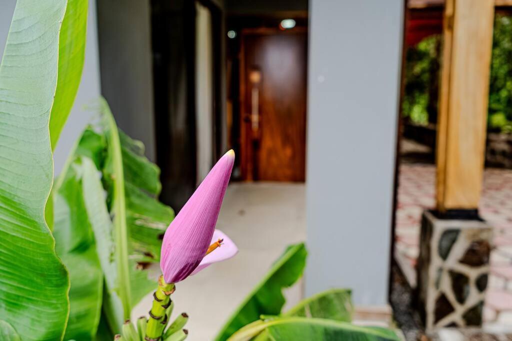 Cloud Forest House Monteverdes Εξωτερικό φωτογραφία